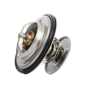 Coolant Thermostat - RIDEX 316T0087