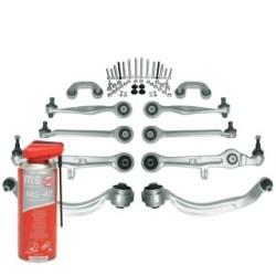 Control Trailing Arm Kit MASTER SPORT 36815-SET-MSP for AUDI