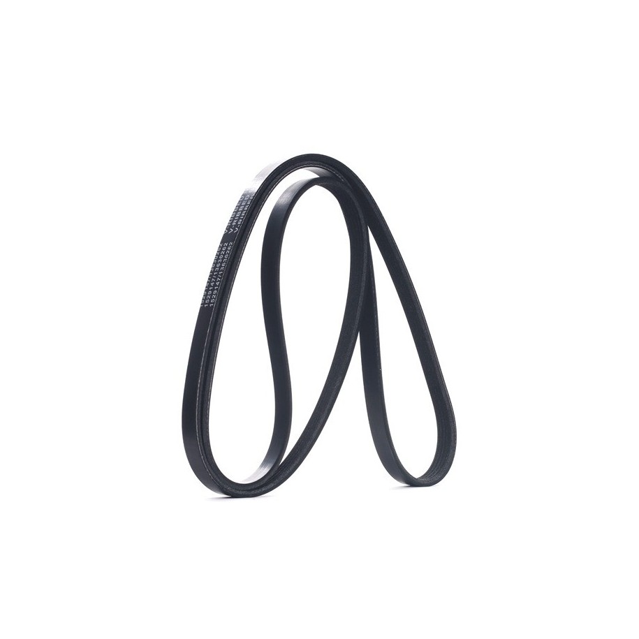 V Ribbed Belt - RIDEX 305P0196