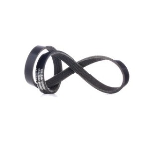V Ribbed Belt - RIDEX 305P0342