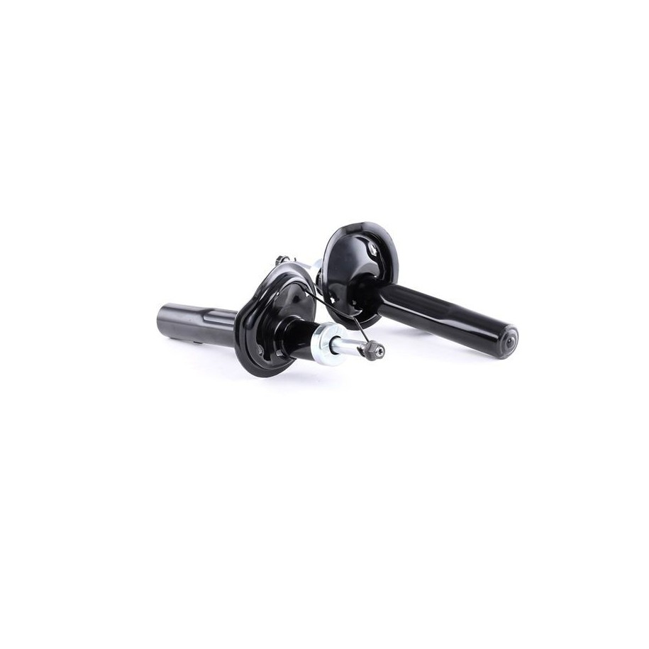 Shock Absorber - RIDEX 854S1379