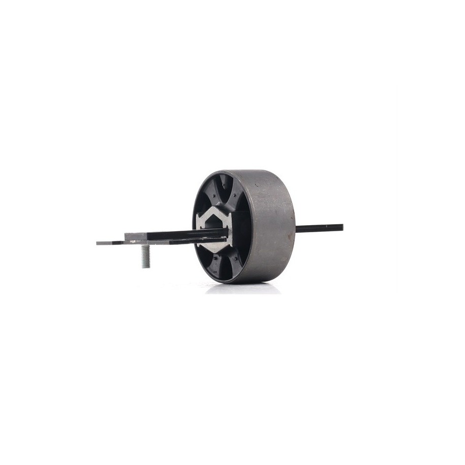 Control/Trailing Arm Bush - RIDEX 251T0012