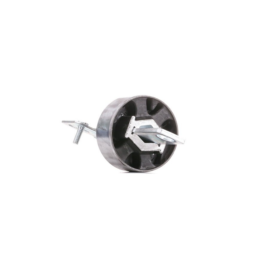 Control/Trailing Arm Bush - RIDEX 251T0014