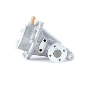 Brake Vacuum Pump - RIDEX 387V0024