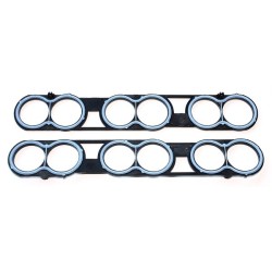 Intake Manifold Housing Gasket ELRING 025.310 for FORD MARCOS