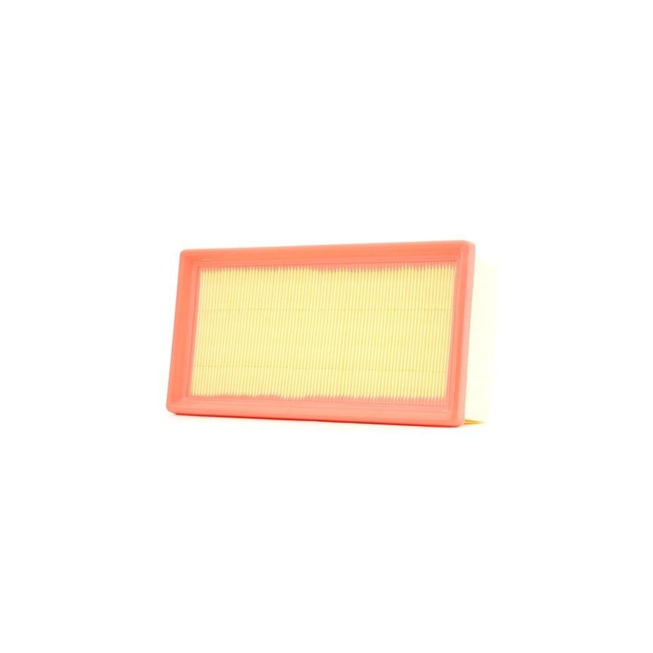 Air Filter - RIDEX 8A0553