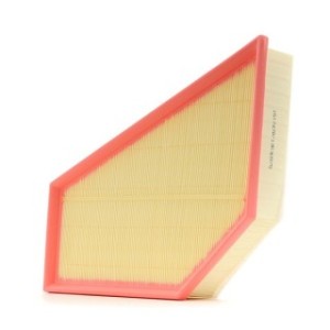 Air Filter - RIDEX 8A0550
