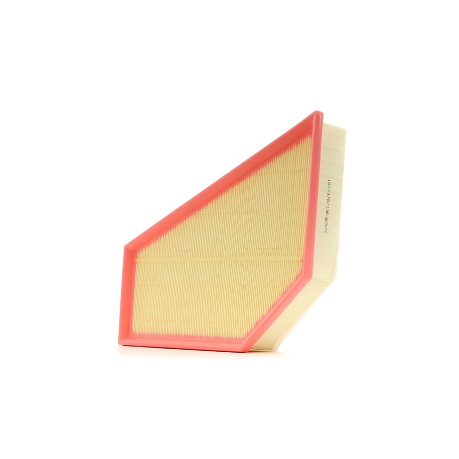 Air Filter - RIDEX 8A0550