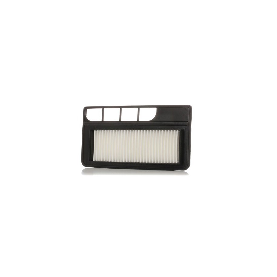 Air Filter - RIDEX 8A0555