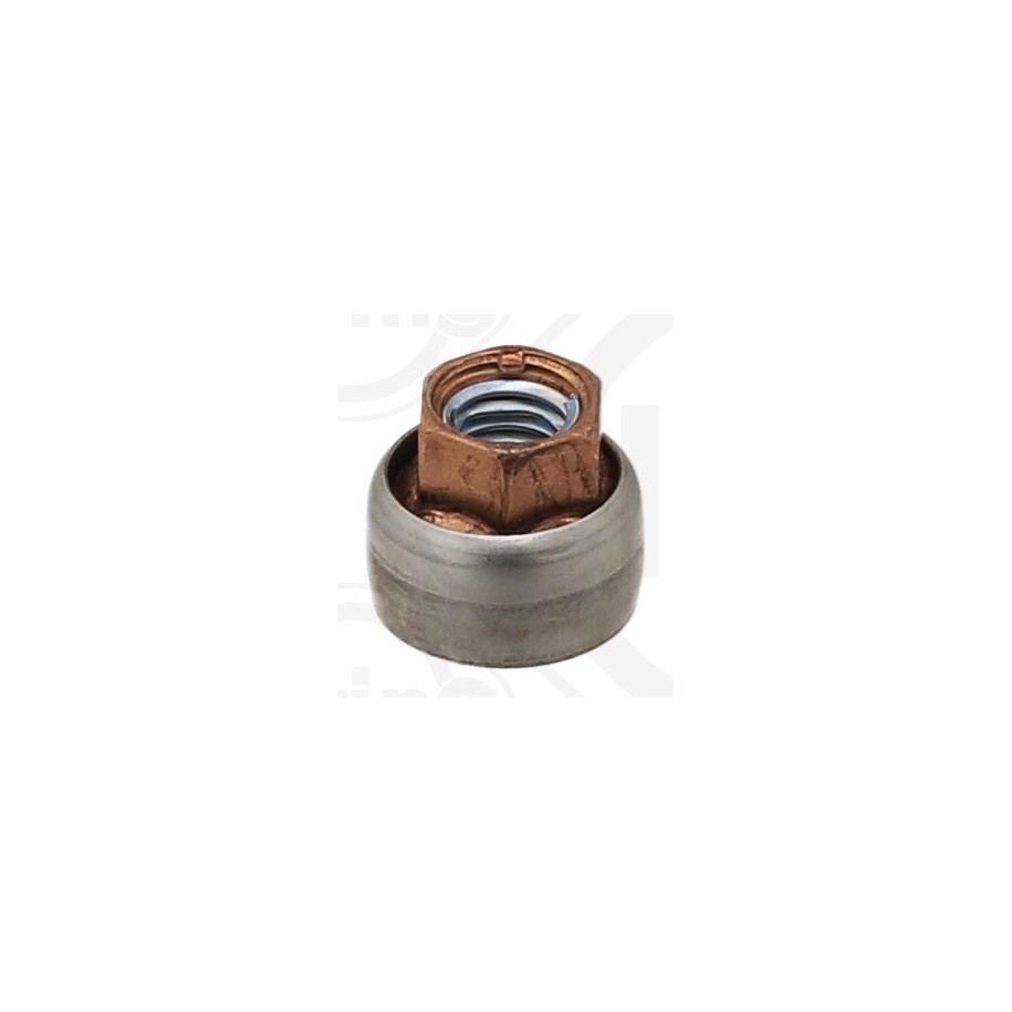 Lock Nut ELRING 344.830 OE 0376.54