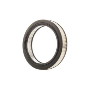 Air Filter - RIDEX 8A0598