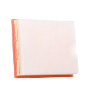 Air Filter - RIDEX 8A0611
