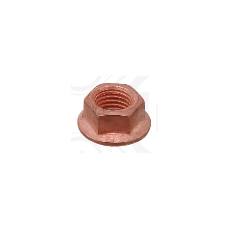 Lock Nut ELRING 720.550 OE 1668736