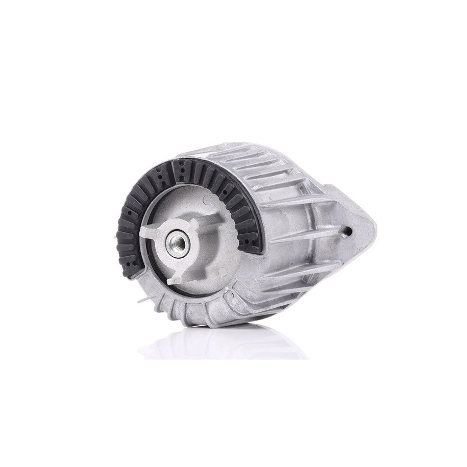 Engine Mounting - RIDEX 247E0108