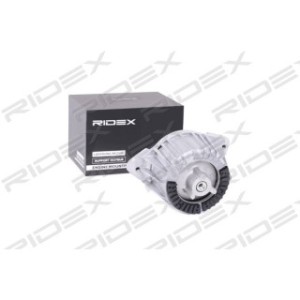 Engine Mounting - RIDEX 247E0108