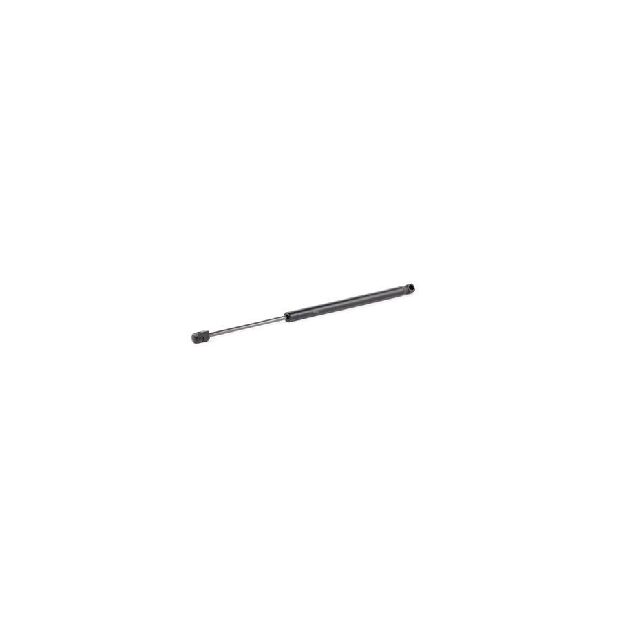 Tailgate Strut - RIDEX 219G0407