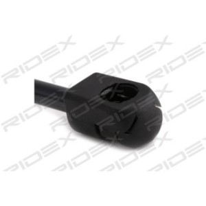 Tailgate Strut - RIDEX 219G0407