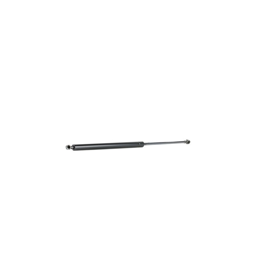 Tailgate Strut - RIDEX 219G0410
