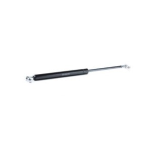 Tailgate Strut - RIDEX 219G0417