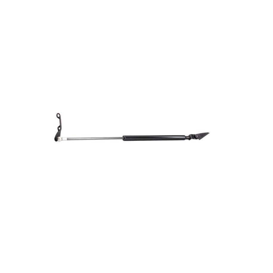 Tailgate Strut - RIDEX 219G0421