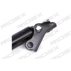Tailgate Strut - RIDEX 219G0421
