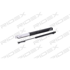 Tailgate Strut - RIDEX 219G0421