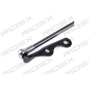 Tailgate Strut - RIDEX 219G0421