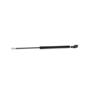 Tailgate Strut - RIDEX 219G0424