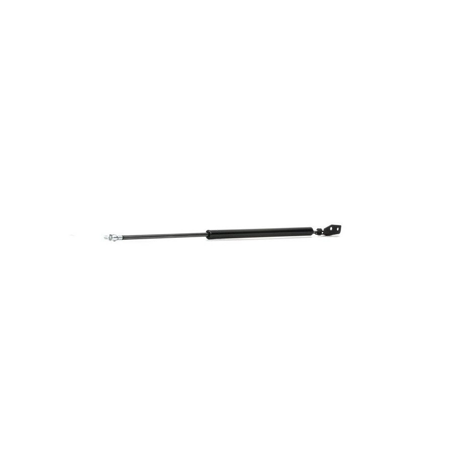 Tailgate Strut - RIDEX 219G0424