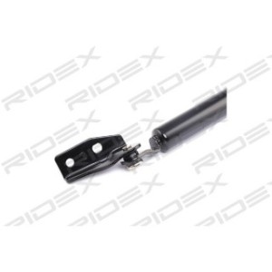 Tailgate Strut - RIDEX 219G0424