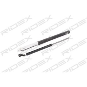 Tailgate Strut - RIDEX 219G0424