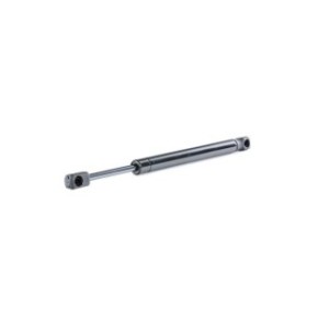 Tailgate Strut - RIDEX 219G0435