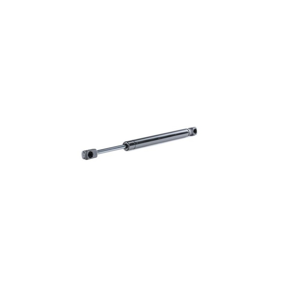 Tailgate Strut - RIDEX 219G0435