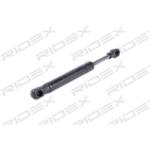 Tailgate Strut - RIDEX 219G0449