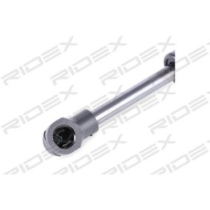 Tailgate Strut - RIDEX 219G0449