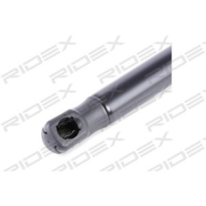 Tailgate Strut - RIDEX 219G0449