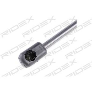 Tailgate Strut - RIDEX 219G0451