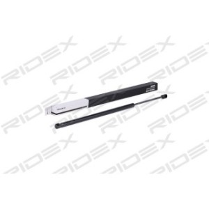Tailgate Strut - RIDEX 219G0451