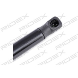 Tailgate Strut - RIDEX 219G0451