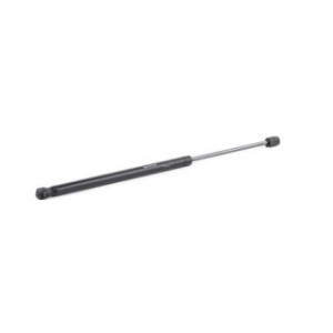 Tailgate Strut - RIDEX 219G0452