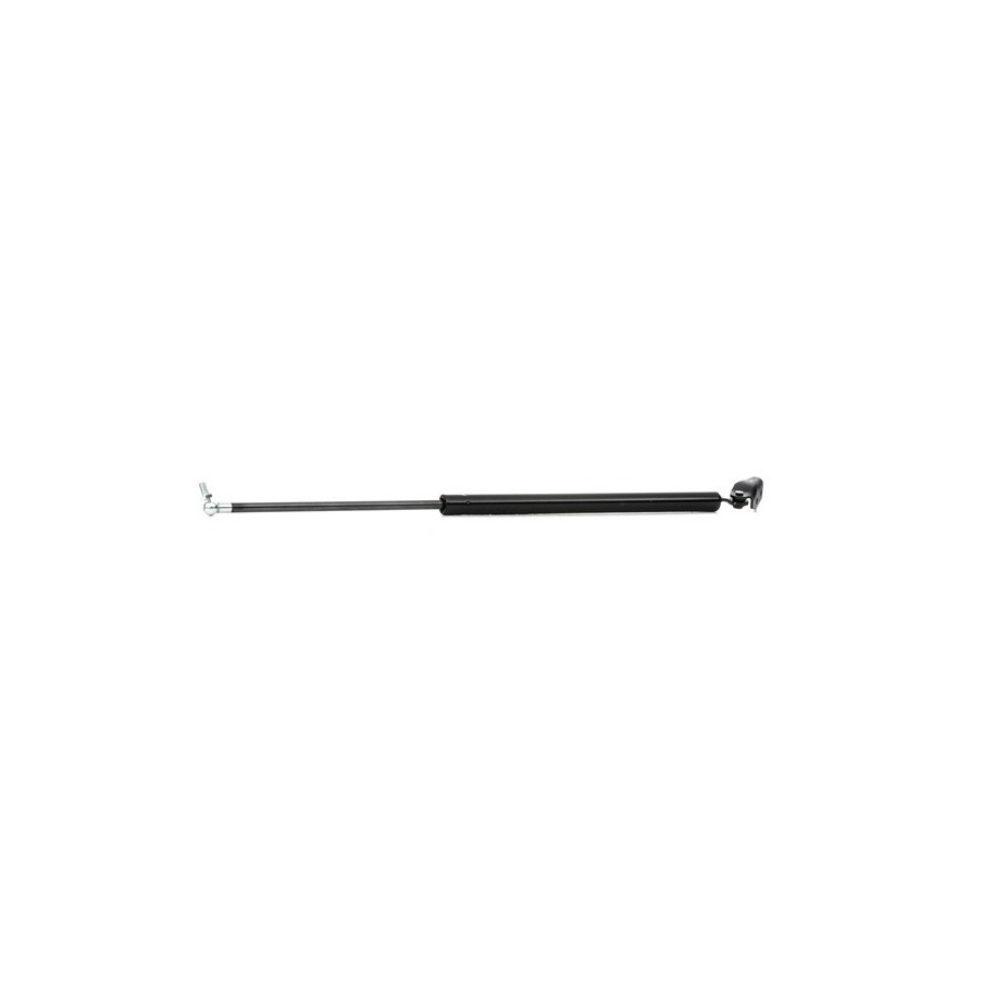 Tailgate Strut - RIDEX 219G0459