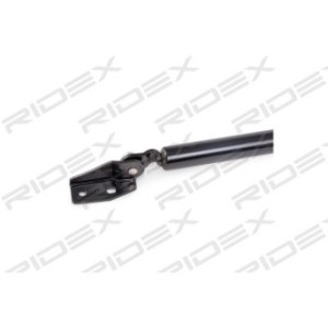 Tailgate Strut - RIDEX 219G0459