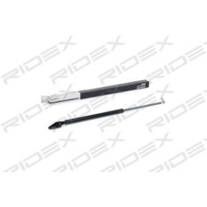 Tailgate Strut - RIDEX 219G0459