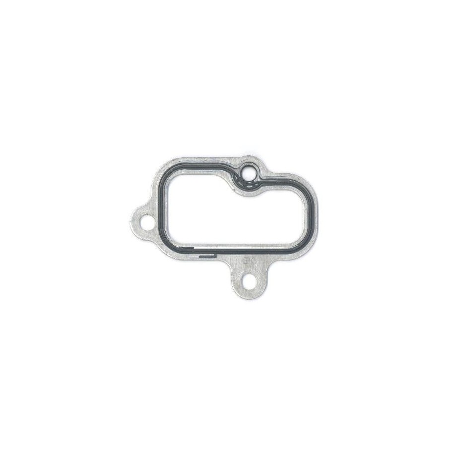 Intake Manifold Gasket ELRING 100.040 for ERF MAN NEOPLAN