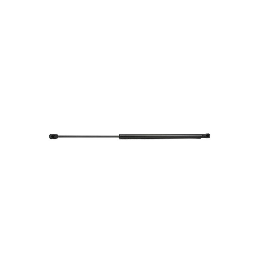 Tailgate Strut - RIDEX 219G0496