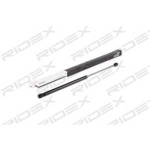 Tailgate Strut - RIDEX 219G0496