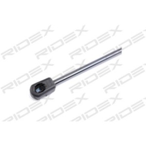 Tailgate Strut - RIDEX 219G0496