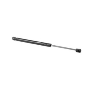 Tailgate Strut - RIDEX 219G0505