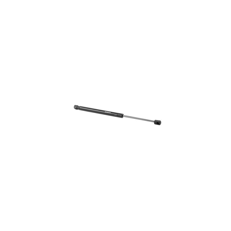 Tailgate Strut - RIDEX 219G0505