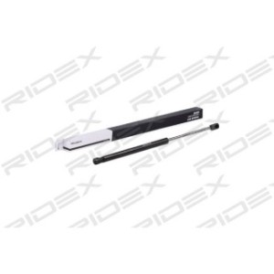 Tailgate Strut - RIDEX 219G0505